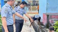Masuki Musim Penghujan, Lapas Curup Awasi Kebersihan Paviliun Narapidana